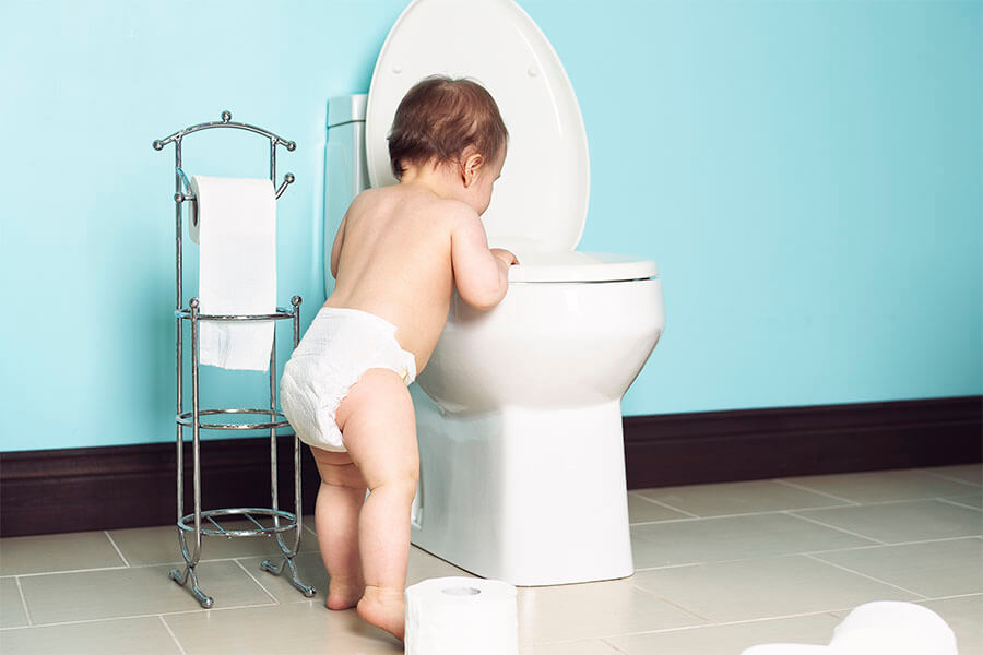 toilet seat lock for small children